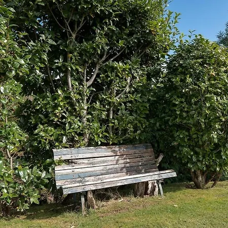 Luxury Camelia. Mountains, Golf, Horses, Levada Walks. Santo Antonio da Serra