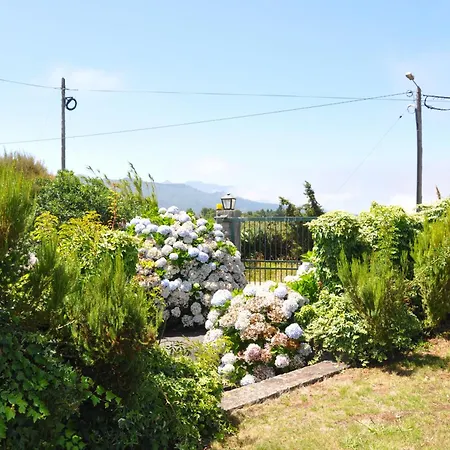 Luxury Camelia. Mountains, Golf, Horses, Levada Walks. Βίλα Santo Antonio da Serra