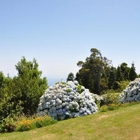 Βίλα Luxury Camelia. Mountains, Golf, Horses, Levada Walks.