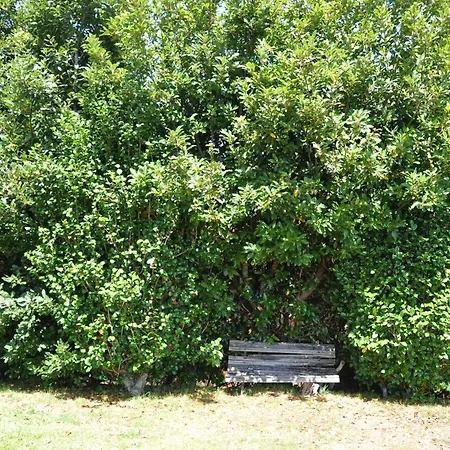 Luxury Camelia. Mountains, Golf, Horses, Levada Walks. Βίλα Santo Antonio da Serra