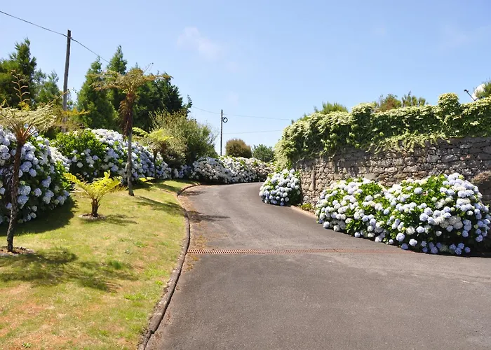 Luxury Camelia. Mountains, Golf, Horses, Levada Walks.