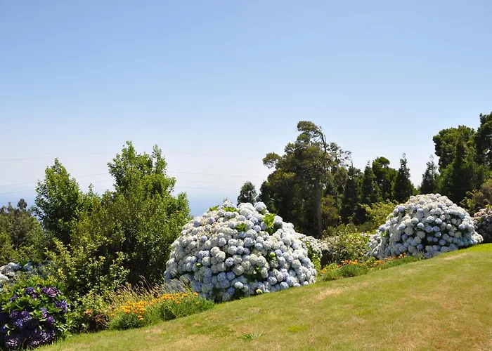 Villa Luxury Camelia. Mountains, Golf, Horses, Levada Walks.