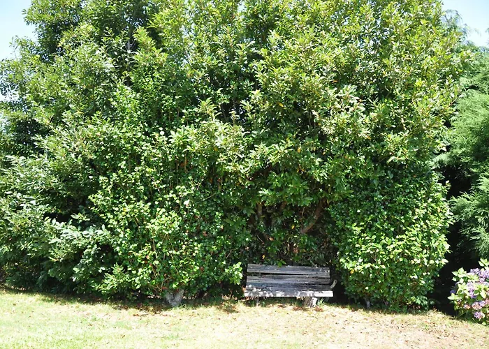 Luxury Camelia. Mountains, Golf, Horses, Levada Walks. Villa Santo Antonio da Serra