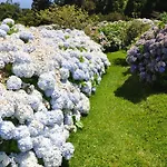 Luxury Camelia. Mountains, Golf, Horses, Levada Walks. Villa