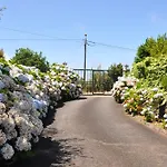 Luxury Camelia. Mountains, Golf, Horses, Levada Walks. Villa