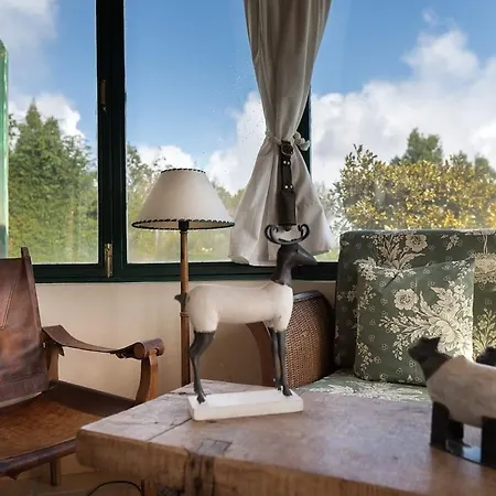 Luxury Camélia. Mountains, Golf, Horses, Levada Walks. *