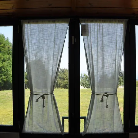 ヴィラ Luxury Camelia. Mountains, Golf, Horses, Levada Walks. *