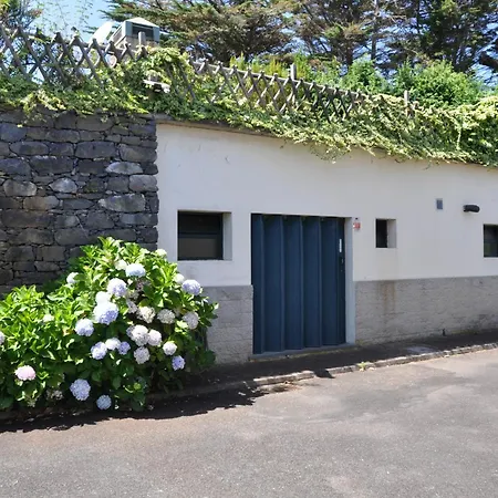 Luxury Camelia. Mountains, Golf, Horses, Levada Walks. ヴィラ