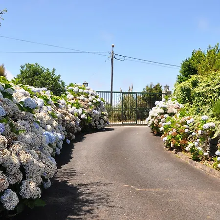 Luxury Camélia. Mountains, Golf, Horses, Levada Walks. Villa