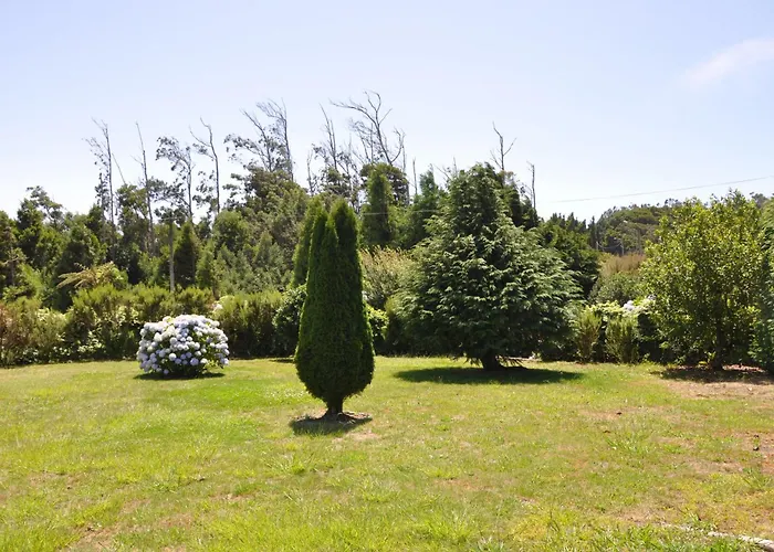 Luxury Camélia. Mountains, Golf, Horses, Levada Walks. Villa Santo Antonio da Serra