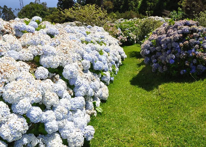 Luxury Camélia. Mountains, Golf, Horses, Levada Walks. Villa