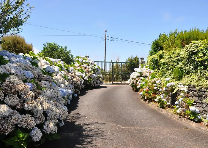 Luxury Camélia. Mountains, Golf, Horses, Levada Walks. Villa