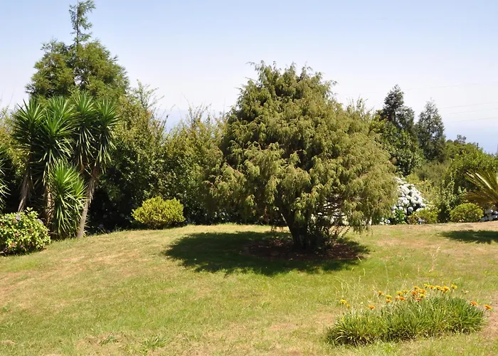 Luxury Camélia. Mountains, Golf, Horses, Levada Walks. Santo Antonio da Serra