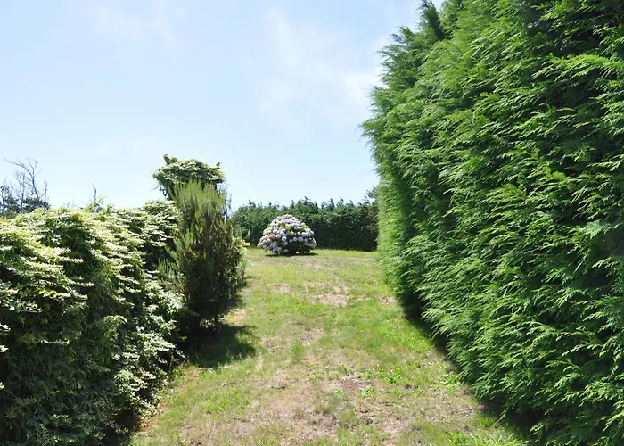 Luxury Camélia. Mountains, Golf, Horses, Levada Walks. Santo Antonio da Serra